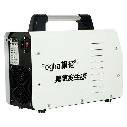 Maple ozone sterilizer ozone generator FH-CYJ1510A-W 10g factory workshop sterilization school unit disinfection car shop water disinfection