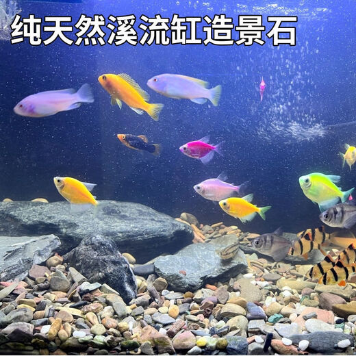Stream stone ultra-fine bottom sand fish tank turtle tank bottom sand stream sand bottom stone fish tank landscaping stone native stone 1 to 3 cm 30-50 g