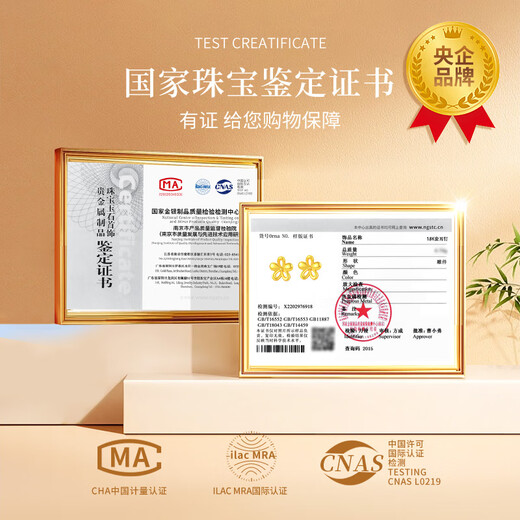 China Gold Gold Earrings for Women 18K Gold Earrings Jewelry Girls Birthday Gifts for Girlfriends Mom and Wife Wedding Anniversary 18K Gold Earrings + Certificate Gift Box