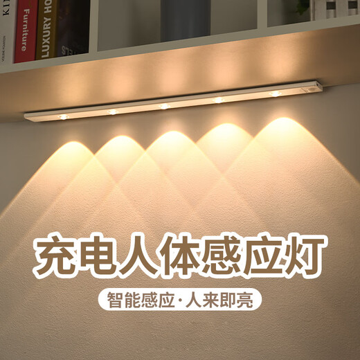 Source Emergency LED Rechargeable Factory Office Human Body Sensor Light Wiring-Free Work Light 60CM