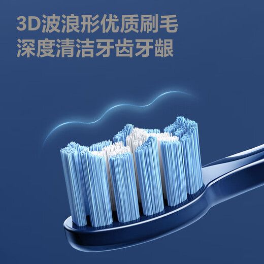 FLYCO Electric Toothbrush Adult Sonic Toothbrush Men and Women Couple Gift Box Automatic Toothbrush Holiday Limited Gift Set Sapphire Blue