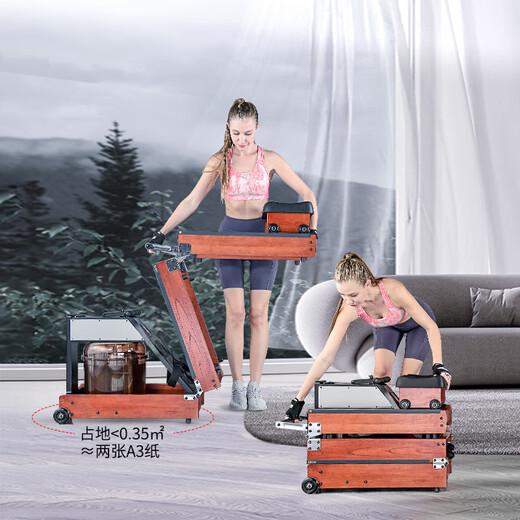 Goldsmith smart rowing machine randomly distributed