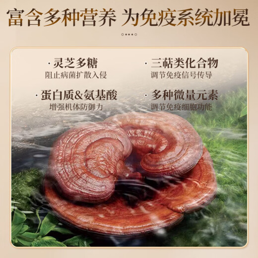 YEKE灵芝粉yeke孢子粉胶囊成年中老年恢复提高抵抗 三瓶装(基础装)75%客 原味