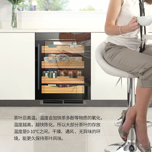 DBERLAN 40-piece under-counter embedded red wine cabinet, constant temperature wine cabinet, beverage cabinet, tea refrigerator, built-in wall, home, high-end vacuum door-electric door opening wine cabinet, ice bar combination 290L