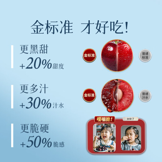 Fenlan Chilean cherries JD SF Express - next-day delivery to many places Imported large cherry gift box New Year's Day gift fruit 2Jin Jin equals 0.5kg (net weight) Extra large fruit 3J grade 30mm+