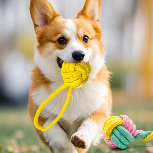 ZanChong Macaron Cotton Knot Dumbbell Ring Set Pet Supplies Puppies and Dog Toys Resistant to Bite and Molar for Self-pleasure