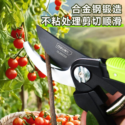 Deli branch pruning scissors, tomato flower gardening, special fruit picking scissors, garden pruners, fruit tree pruning scissors, 8-inch labor-saving model, free gloves + knife oil