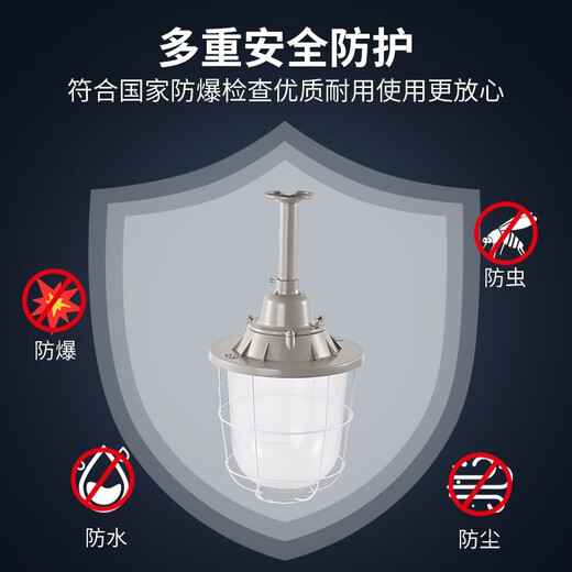 Yunzhizhuo LED explosion-proof lamp factory workshop warehouse explosion-proof lighting gas station lamp explosion-proof lampshade miner's lamp 250 type lampshade + 30W bulb