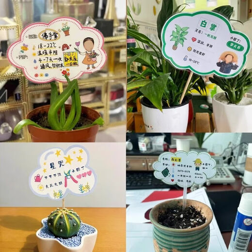 Pflanzenpflegekarte, grüne Pflanzenkarte, Kindergartenetikett, individuelles wasserdichtes Namensschild für Topfpflanzen, Gartenarbeitsaktivität, gemischtes und passendes Damenmodell, 6 Blatt, nicht wasserdicht, kostenloser Clip