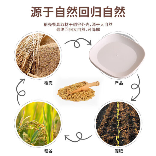 Rice husk disposable dinner plate square biodegradable thickened waterproof and oil-proof barbecue fruit disc camping picnic set 20 square plates