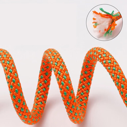 Platinum p rope dog leash dog leash p chain leash large, medium and small dog competition level dog training leash dog walking chain leash orange 1.5 meters