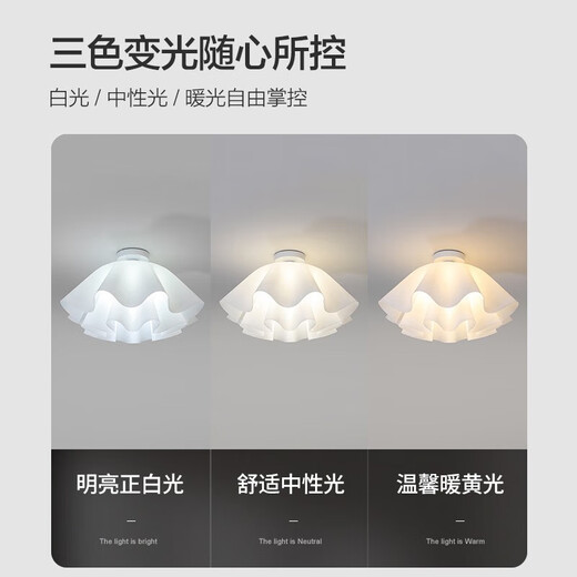 大观园（DGY）奶油风主卧室吸顶灯创意餐厅灯简约花朵书房儿童房灯广东中山灯具 9735-吊灯42cm-三色变光