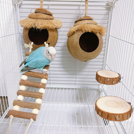 Runhua Nian 89 - bird's nest, parrot nest, straw bird's nest, black phoenix, tiger skin, pearl bird's nest, coconut shell, coconut shell bird's nest, grass nest to keep warm, sawdust packed 1g