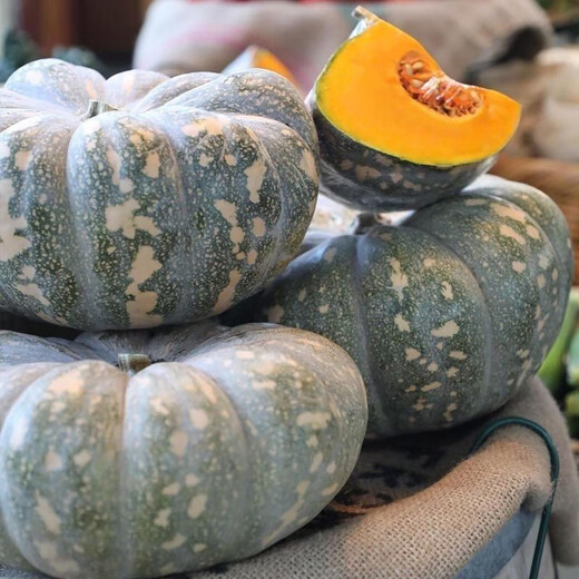 Specially Sweet Pumpkin Seed Flavor Sweet Pumpkin Vegetable Seed Lazy Mopan Large Pumpkin Seed Mopan Large Pumpkin Seed This year’s new species ST2998 new species 2 packs of about 44 seeds, good germination