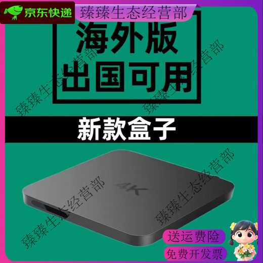 适用于外国的盒子wifi616G国外版无线WiFi网络高清播放器 8G海外版(出国使用) 套餐三 欧标插头