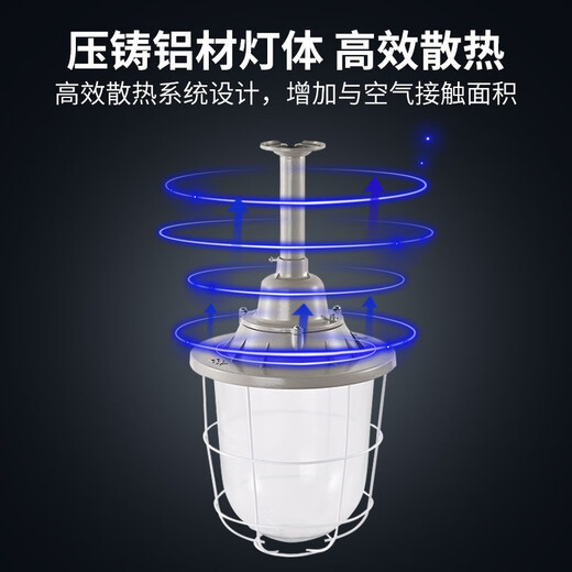 Yunzhizhuo LED explosion-proof lamp factory workshop warehouse explosion-proof lighting gas station lamp explosion-proof lampshade miner's lamp 250 type lampshade + 30W bulb