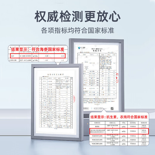 鲜京采大连即食海参2斤 16-20只 固形物超75%  京东自营 海鲜