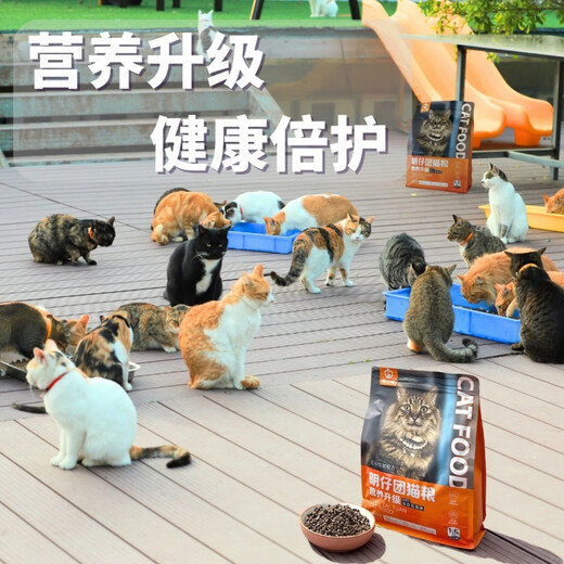 Mingzi Tuan Cat Food Nutritional Upgrade 15kg All-stage Universal High-Protein Nutritional Balance Grain-Free Staple Food Cat Food Liter 1.5kg