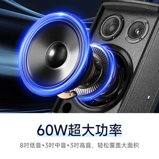 先科 会议室音响套装组合8英寸家庭KTV背景音乐培训会议专用设备系统功放壁挂音箱VD-202/K5V*4/M-19