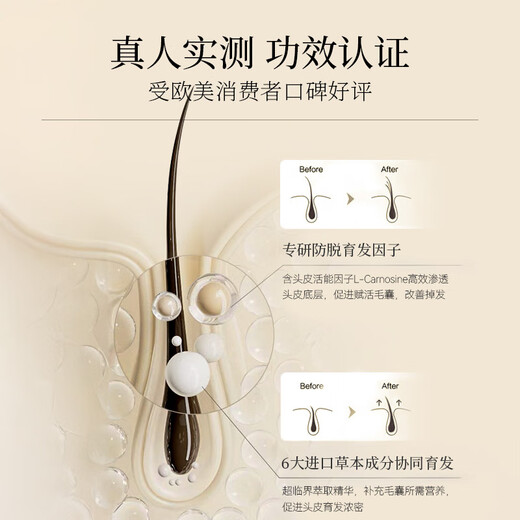 SACELLEC BEAUTE anti-degeneration ginger shampoo 400ml solid hair nourishing anti-dandruff anti-itch oil control fluffy shampoo for men and women