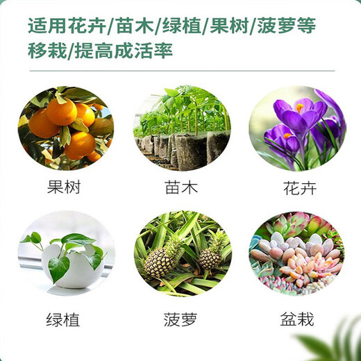 Senhuo Haobili 5% naphthalene acetic acid rooting agent garden tree transplanting watering rooting liquid camphor ligustrum seed control results