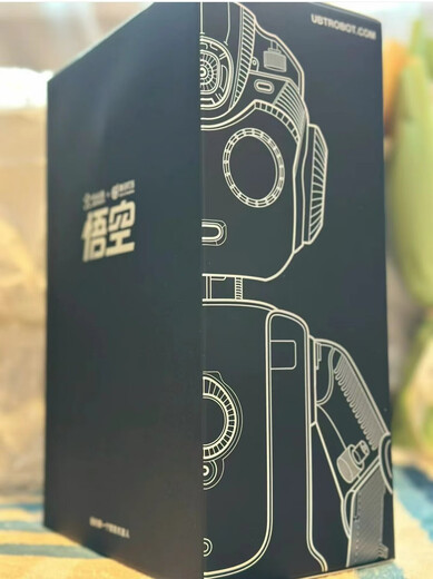 Ubly Seleccione el mismo Robot Wukong Robot Programación de educación inteligente Dance Compañía de niños Toys de aprendizaje Regalo de cumpleaños para niños