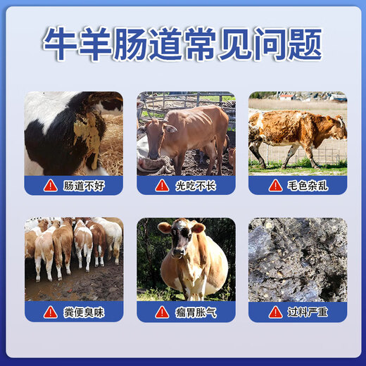 Yingmeier Veterinary Enzyme Probiotics for Pigs, Cattle and Sheep with Probiotics to Condition the Intestine and Gastrointestinal Growth Promotion Feed Additives Wholesale Concentrated Probiotics*5 Packs Buy 5 Get 1 Free 6 Packs in Total