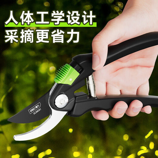 Deli branch pruning scissors, tomato flower gardening, special fruit picking scissors, garden pruners, fruit tree pruning scissors, 8-inch labor-saving model, free gloves + knife oil