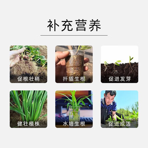 Guoguang Heduo contains amino acid water-soluble fertilizer for flower seedlings, green plants, vegetables and fruit trees to promote root growth and strengthen foliage. Water-soluble fertilizer