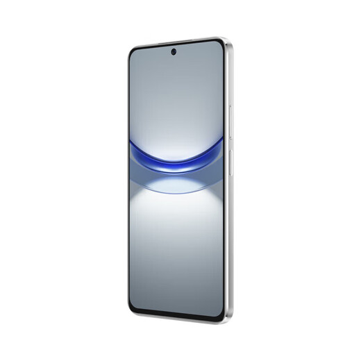 Huawei Smart Selection 5G Mobile Phone 2025 Hot-selling New Phone Launched 24 Issues Interest-free nova 12 se 100 million pixels 66W fast charging supports NFC Huawei subsidizes nova13 pro 256GB Snowy White Official Standard Shipping Insurance + Broken Screen Insurance + 2-Year Warranty