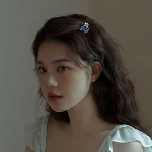 Xiang Wan Hair Clip Small Clip Women's Rhinestone Hair Clip Women's Small Clip Head Small Clip Side Hair Clip Girl's Birthday Gift