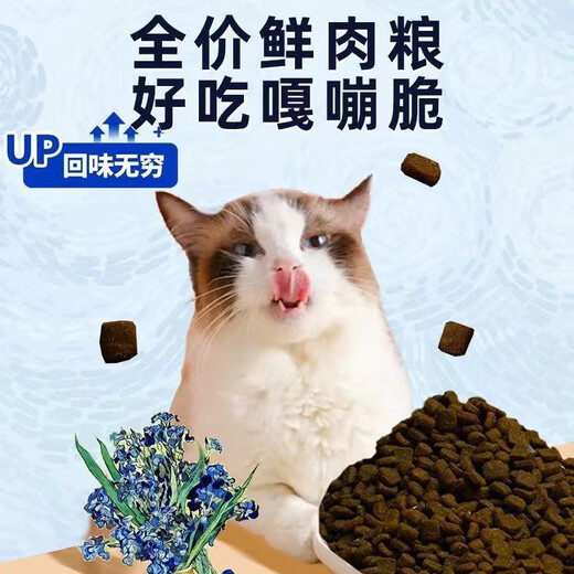 Douchi cat food, urinary tract food for elderly adult cats, special staple food for care of young cats 1.5 cat food Douchi urinary tract food 1.5kg 1 pack