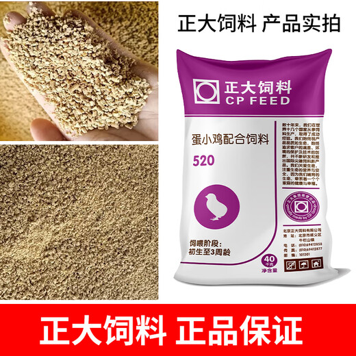 Zhengda 521 Chicken Feed, Chicks Open Chicks, Chicken Feed Wholesale, Medium Chicken Food Premix 80Jin Jin is equal to 0.5kg Zhengda 521 Chicken Feed 10Jin Jin is equal to 0.5kg