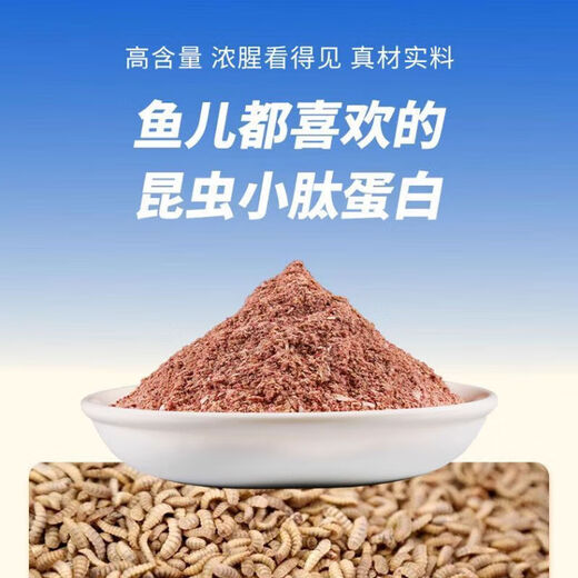 A nest of ground royal cat fish bait, wild fishing with a strong fishy smell, universal for all seasons, special for fishing crucian carp, grass bream, cocked mouth, ground royal cat 60g*3 pack