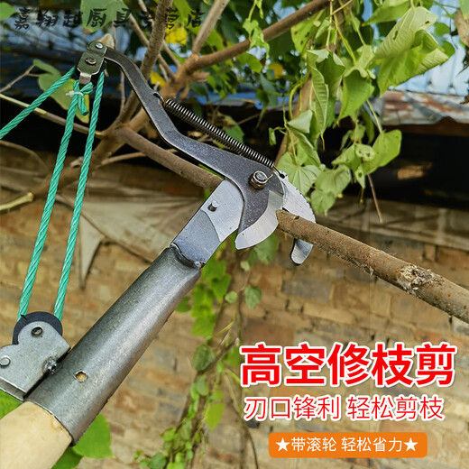 Miaopule fruit-picking shears, high-altitude tree-cutting shears, fruit-picking artifacts, German craftsmanship, high-end quality, stretchable, labor-saving black medium-sized double-wheeled model + 5-meter rope + elastic