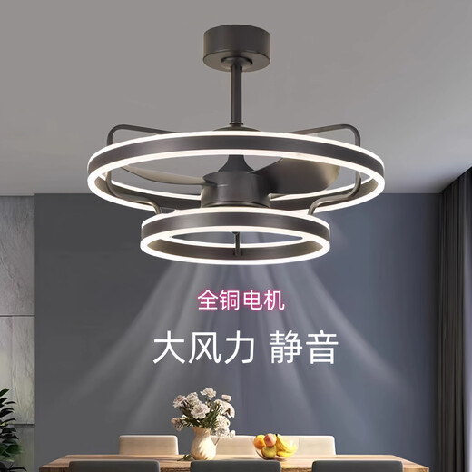 欧普照明2025年新款隐形吊扇灯大风力家用餐厅饭厅卧室电风扇一体吊灯静音 隐形款9227/黑60CM变频遥控+直