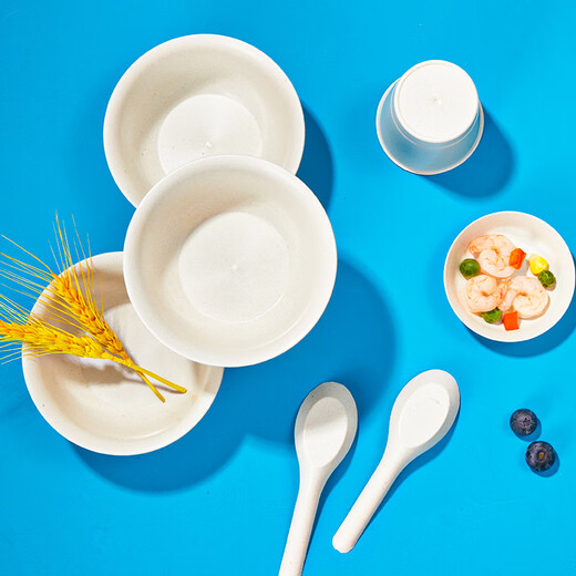 Youao disposable set of 10 servings bowls, chopsticks, spoons, cups, plates, tablecloths, outdoor picnic disposable tableware