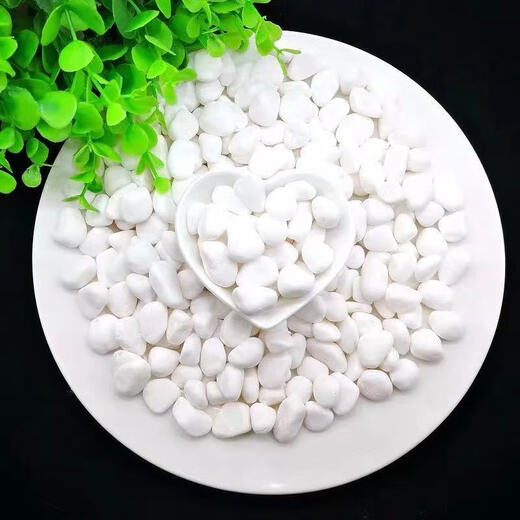 Runhuanian small white stone succulent paving stone flower cultivation pebbles rain flower stone fish tank landscaping basin fine full white stone 3-6mm 1Jin Jin is equal to 0.5 kg