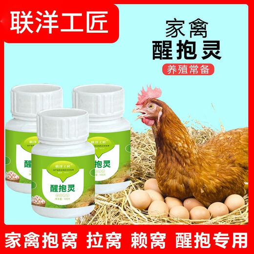 Lianyang Craftsman hen nesting wake-up quick-acting wake-up spirit prevents hens from hatching and nesting nest spirit Muscovy duck nest wake-up feed additives wake-up spirit 100 tablets/bottle