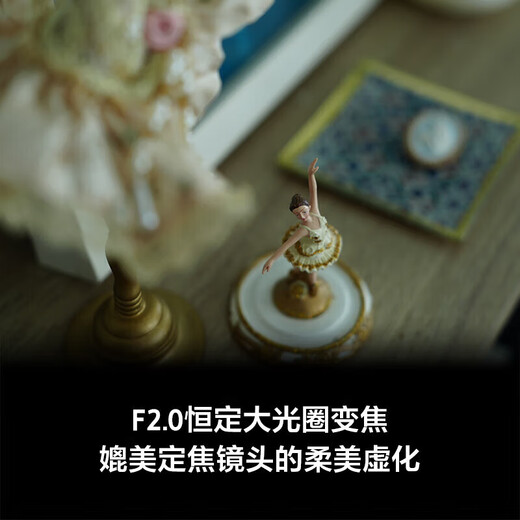 Sony (SONY) SEL2870GM full-frame standard zoom lens F2 large aperture G master lens (FE 28-70mm F2 GM filter protective set)