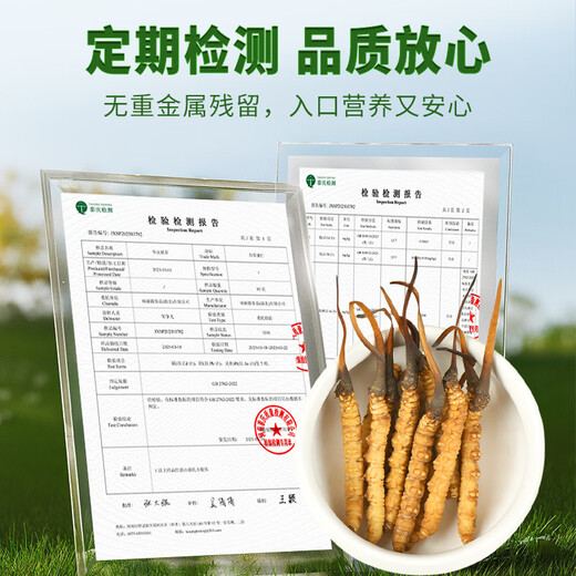 Wancao Kangren [Straight from Origin] Fresh Cordyceps sinensis Tibetan area Fresh Cordyceps high-end tonics to give gifts to elders First-rate fresh grass [0.6g/root] 20 roots