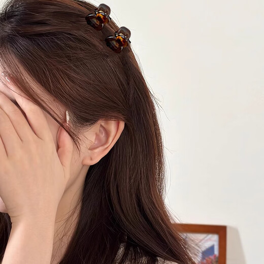 Xiang Wan hairpin grabber 2 retro acetate small grabbers female mini princess hairpin bangs clip broken hair hairpin headdress