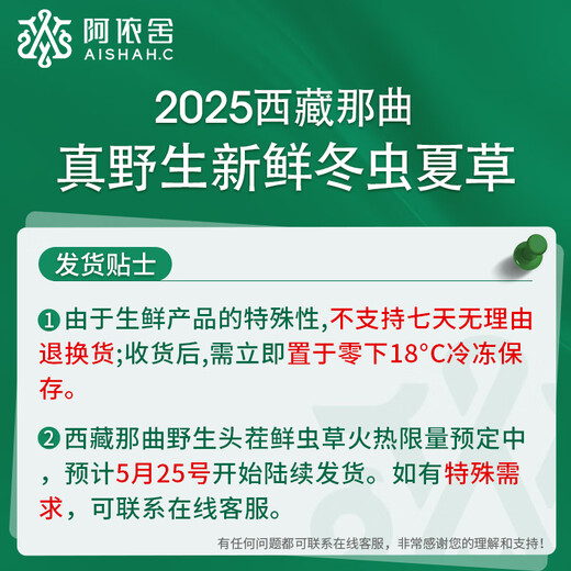 Ayishe Tibet's First 2025 Wild Fresh Cordycess Sinensis, воздушная груза, подарочная коробка для питательных продуктов для старейшин, 20 грамм дикой свежей травы