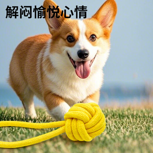 ZanChong Macaron Cotton Knot Dumbbell Ring Set Pet Supplies Puppies and Dog Toys Resistant to Bite and Molar for Self-pleasure