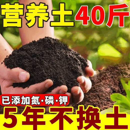 Universal nutritional soil for growing vegetables, nutritional soil for flowers, potted green plants and vegetables, universal flower soil, flower mud, organic soil wholesale, good soil, real fertilizer, mixed with rooting powder carbendazim 3Jin Jin is equal to 0.5 kg, universal nutritional soil, universal for melons, fruits, flowers and green plants