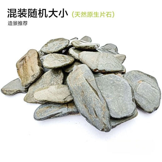 Pure natural stream stone fish tank landscaping stone flakes turtle basking back schist climbing pet rockery terrace landscaping stone 3Jin Jin is equal to 0.5kg 5-10cm schist size matching