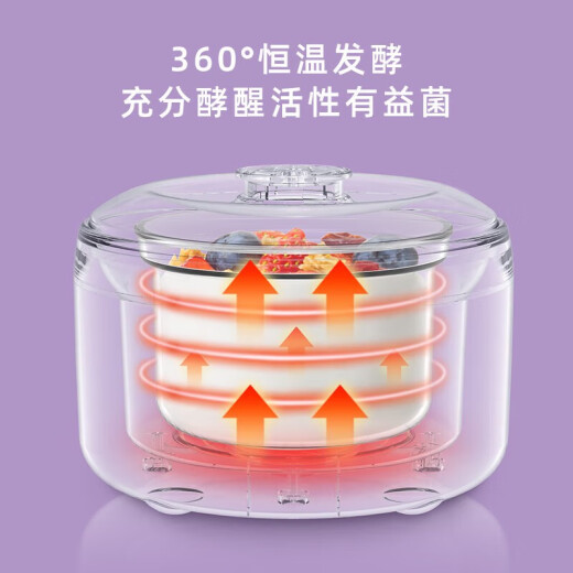 RASW德国酸奶机家用小型全自动自制恒温发酵迷你多功能大容量米酒 团购4