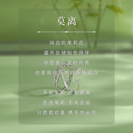 Lnieer 999 Pure Silver Couple's Silver Ring Female Niche Pair Ring Adjustable Valentine's Day Gift for Girlfriend Birthday Pair of Rings - Lnieer Pure Silver Ring Brand Gift Box