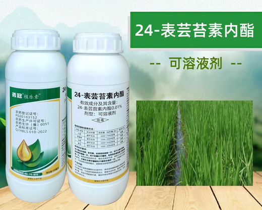 Yongguan 0.01% brassinolide lactone plant growth regulator 24 epibrassinolide 1000ml