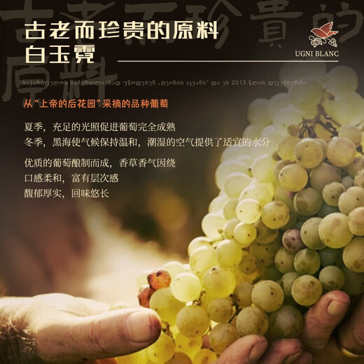 督格拉泽【白兰地诞生地】格鲁吉亚原瓶进口白兰地洋酒调酒基酒烈酒送礼 督格拉泽瓦茨赫 500mL 1瓶